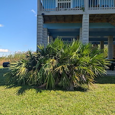 Bush-Trimming-removal-in-Ocean-Springs-Ms 0